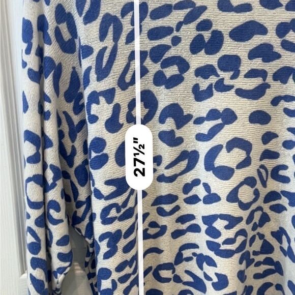 Hannah Rose 100% Cashmere Leopard print V-neck Dolman Sleeve Sweater size Lg - Picture 3 of 12